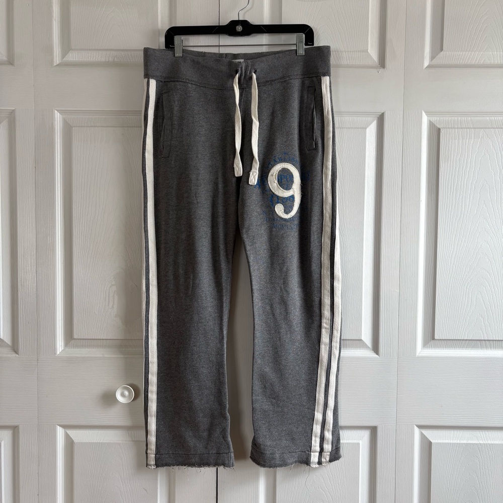 Aeropostale‎ Gray Wide Leg Sweatpants Logo Drawstring Waist M Distressed Pinkman